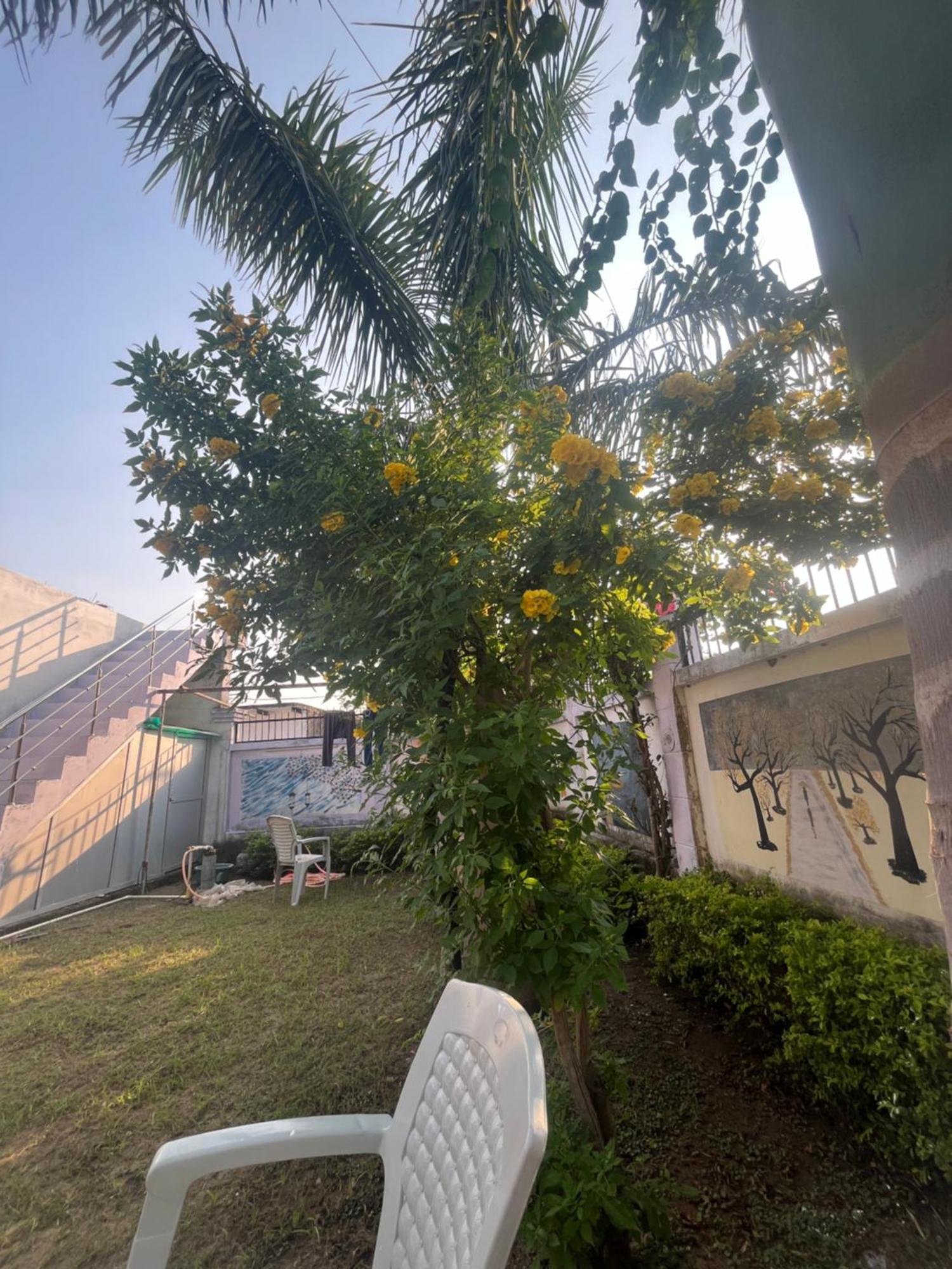Sunrise Bed & Breakfast 克久拉霍 外观 照片