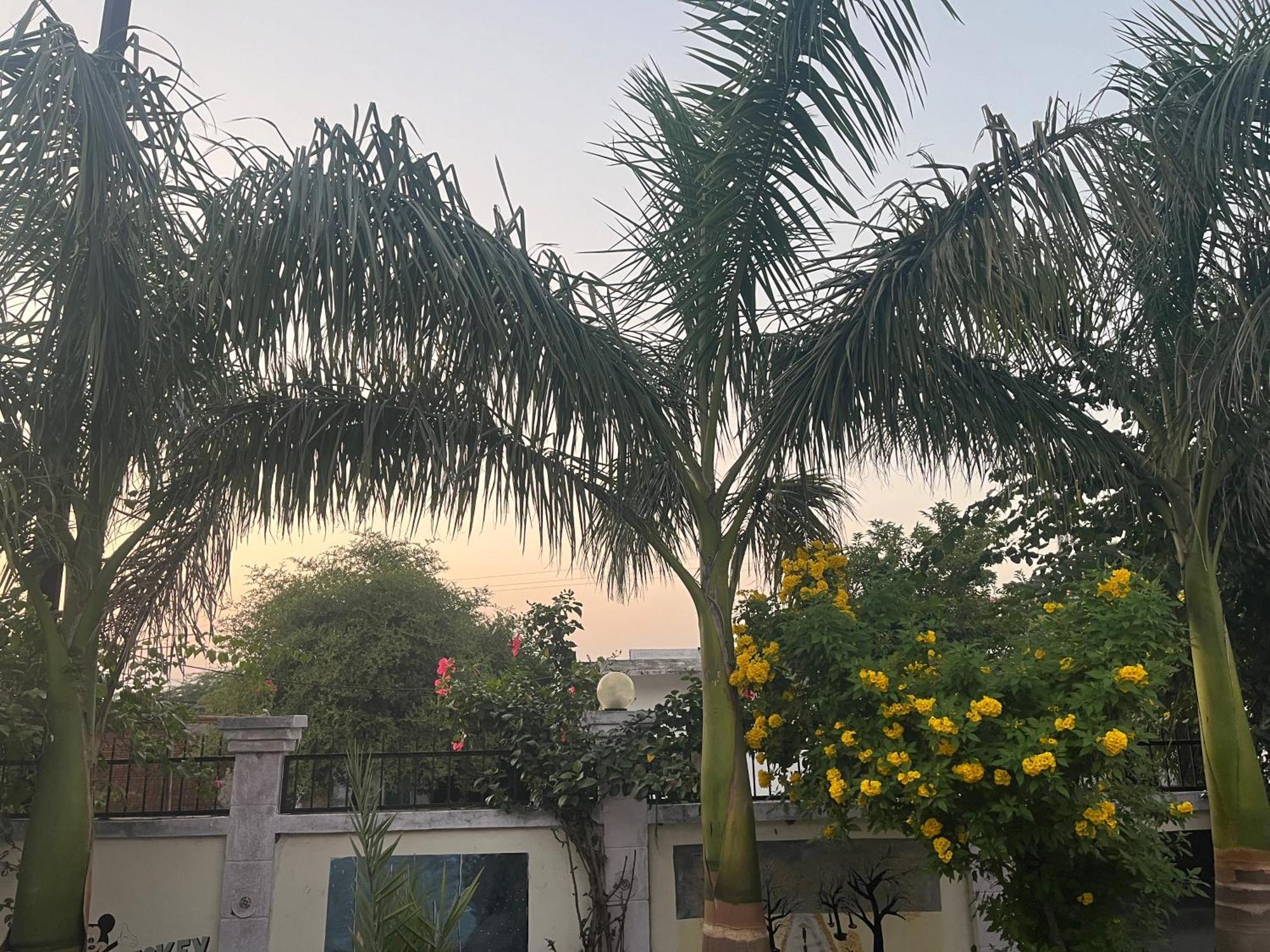 Sunrise Bed & Breakfast 克久拉霍 外观 照片