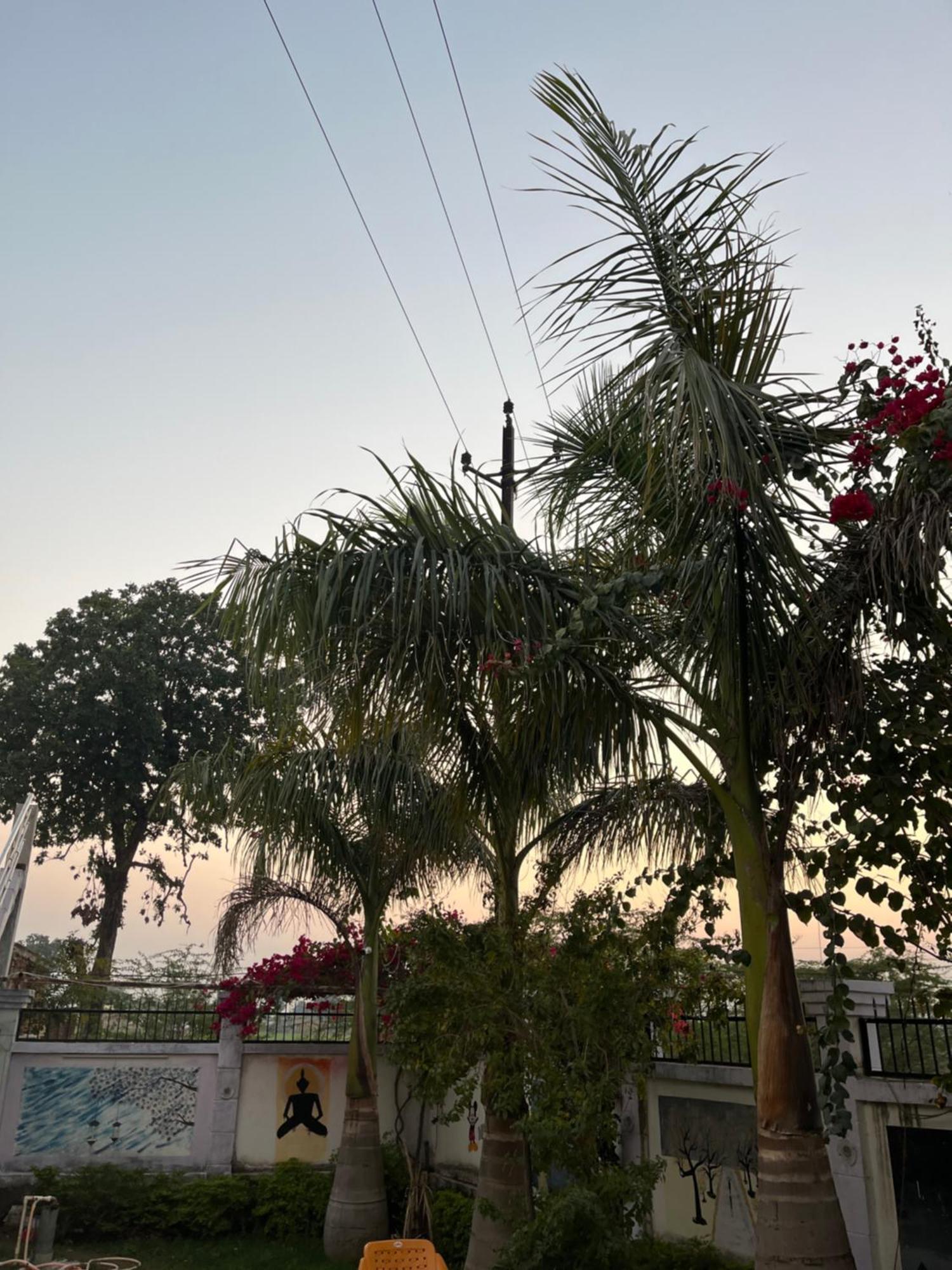 Sunrise Bed & Breakfast 克久拉霍 外观 照片